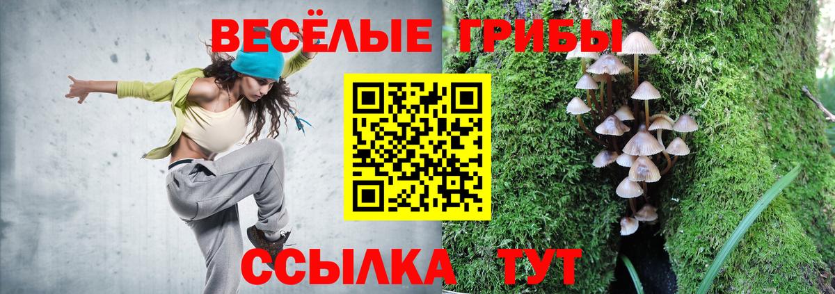 Псилоцибиновые грибы Magic Shrooms Алатырь