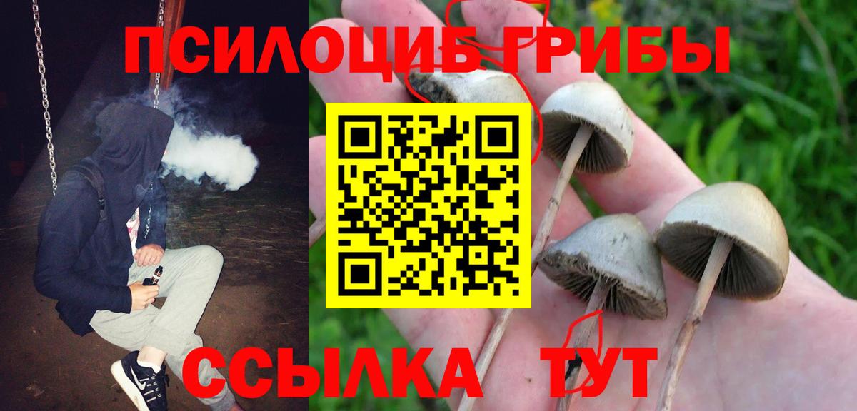 Галлюциногенные грибы мухоморы  Вход с VPN  купить наркоту  Алатырь 